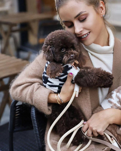 Love is in the Air: Valentine’s Day Gift Ideas for Your Furry Friend